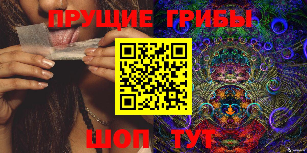 Галлюциногенные грибы Psilocybine cubensis Бахчисарай